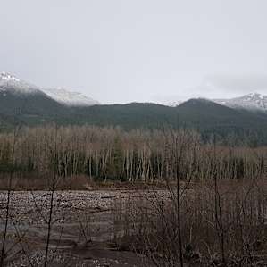 A short (less than 5-minute drive) from the cabin and you can find some beautiful secluded areas to enjoy nature or fish)