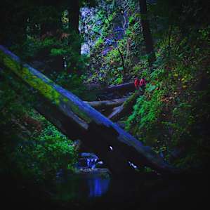 Hike surrounding the campground