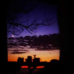 View from the tent door