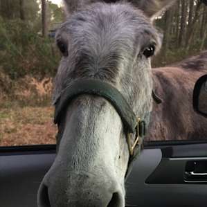 Hi there!