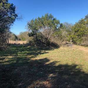 shaded camping area