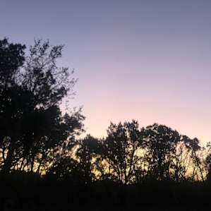 lilac skies at dusk