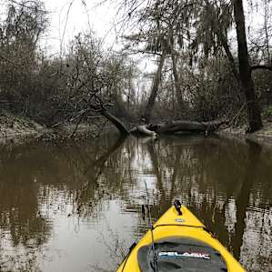 Oxbow Paradise