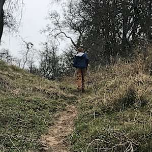 Oxbow Paradise