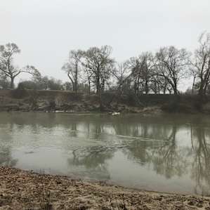 Oxbow Paradise