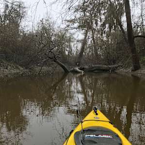 Oxbow Paradise