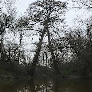 Oxbow Paradise