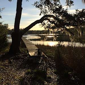 Camp on the Creek