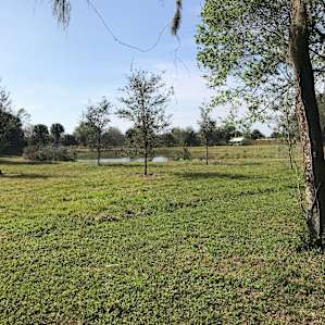 Taste of Old Florida
