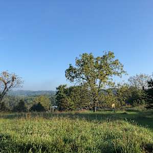 Dockley Ranch Hilltop Cabin