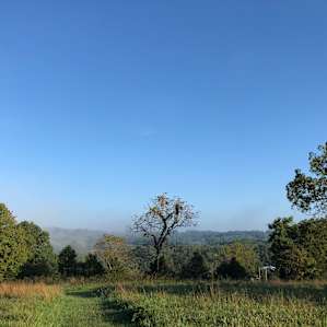Dockley Ranch Hilltop Cabin