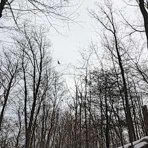 Ironwood Trail & Private Campsite
