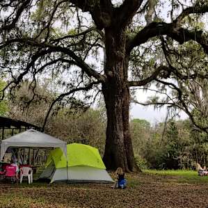 Texas Treehouse Swings Forest