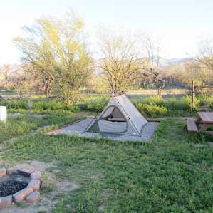 Tent Camping Paradise in NE Tucson