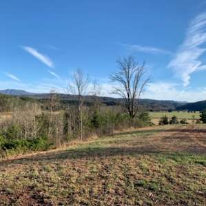 It was a beautiful afternoon on our second day after the thunderstorms past through in the night. Breeze blows through the hills and makes it very comfortable.