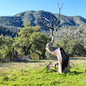 Along the Santa Lucia trail