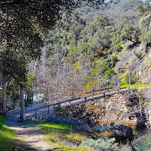 Horse Bridge