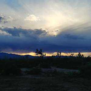 Trinity Acres