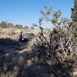 Plenty of room to pitch your tent.