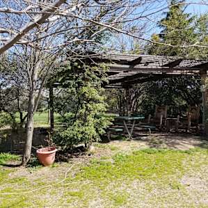 Picnic area near the cantina