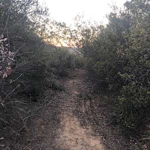 Path to the cool bench