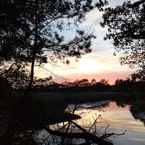 Hanscombe Point Plantation