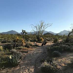 Trinity Acres