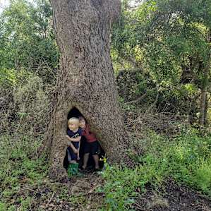 Texas Treehouse Swings Forest