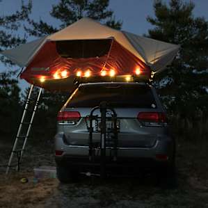 Hammock in the Pines - Tent Camping