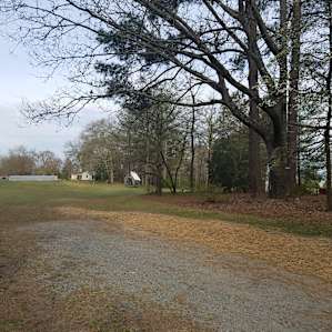 Oakgrove Farm Woods