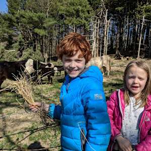 We visited the cows nearby.