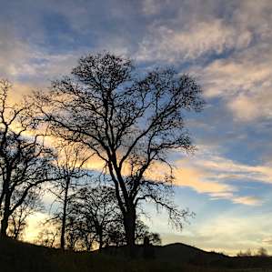 Peaceful Creekside Farm Camping