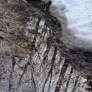 The creek #1