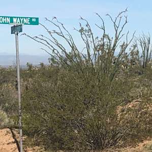 Creative developer with a heart of whimsy, named all of the streets in the subdivision, (home to Trinity Acres) for celebrity cowboys. You come in on Burch Cassidy Dr. and you leave on John Wayne Rd.