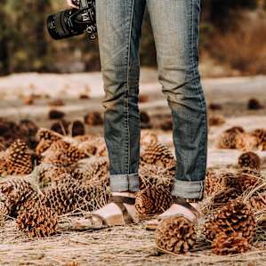 The biggest pine cones I've ever seen!
