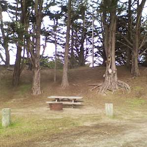 Bodega Dunes Campground