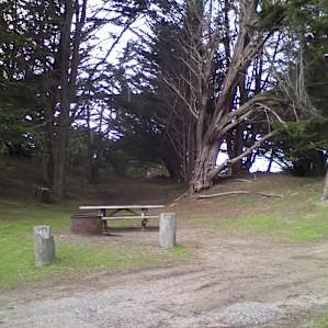 Bodega Dunes Campground