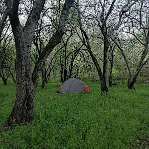 Shady Grove on 201 acres.