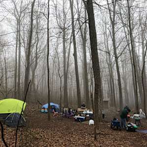 Bear's Den