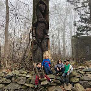 Bear's Den