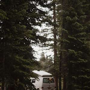 Idlewild Campground