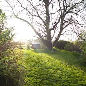 Happy Little Farm