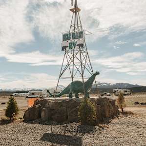 Can't miss this dinosaur passing by!