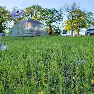 RV and Tent Camping at Paradise