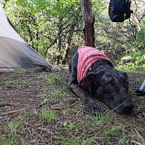 Secluded Lago Vista Tent Camping
