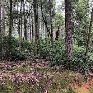 Otter Space Morning Meadow Camp