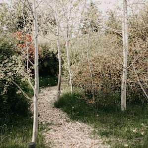 Pathway with tree lights lined along to guide you to the caravan.