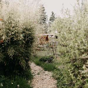 Freya's Gypsy Caravan