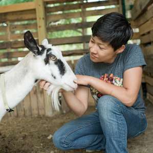 The goats are so friendly