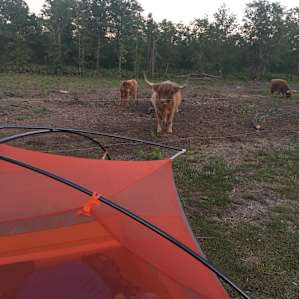 Sarah Bella Farm, Ranch and Camping